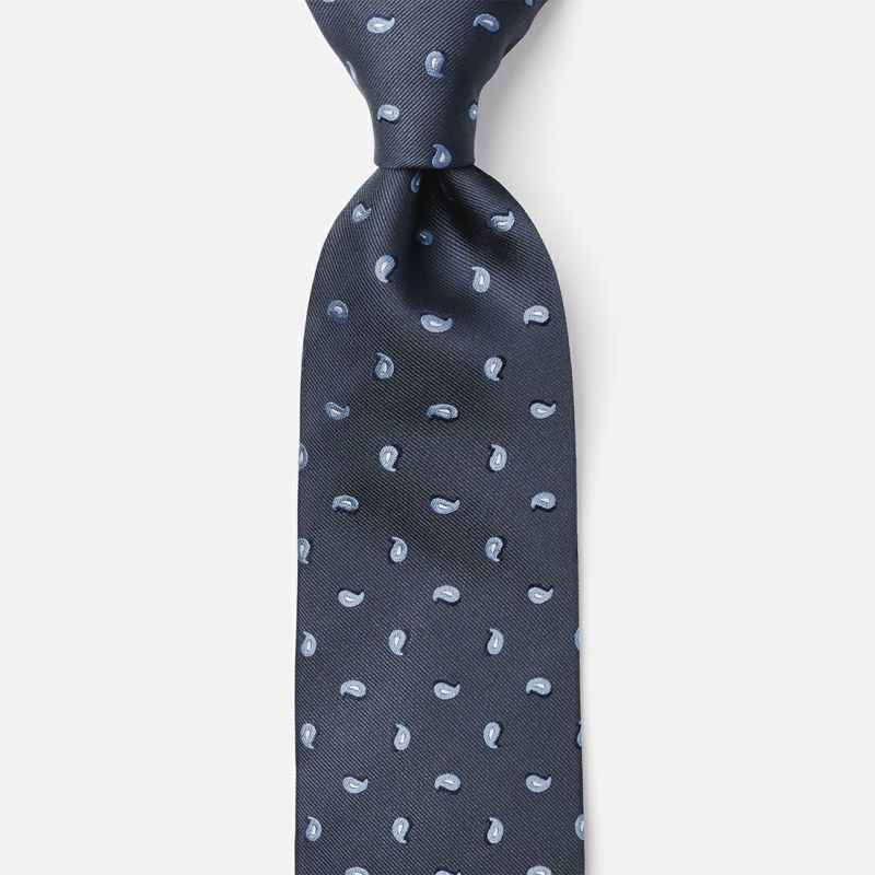 2025年秋冬新作】ホリデー&ブラウン ネクタイ／ペイズリー | AINEXX