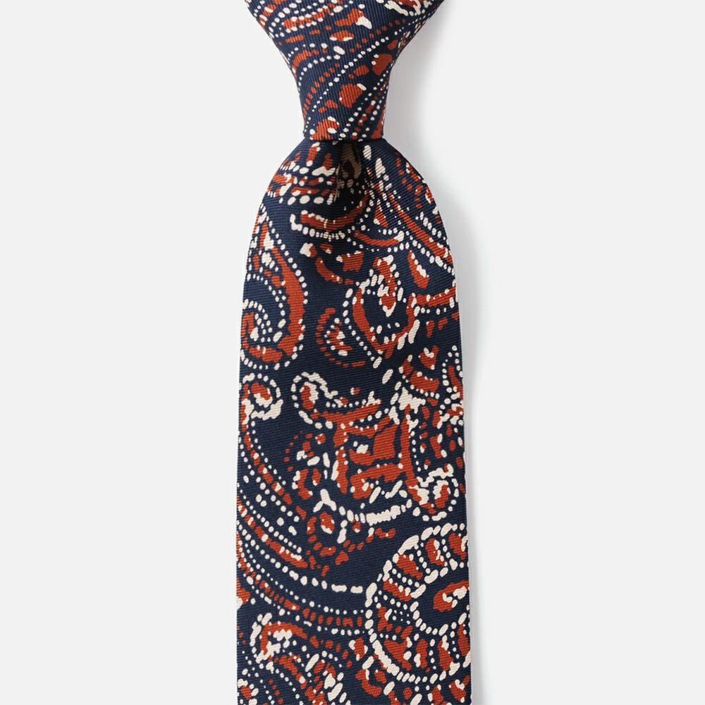 2026年春夏新作】ホリデー&ブラウン ネクタイ／プリント | AINEXX